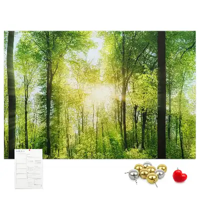 Nature Forest Trees Printed Cork Board