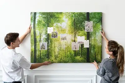 Printed Cork Board Nature forest trees