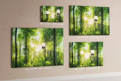 Printed Cork Board Nature forest trees