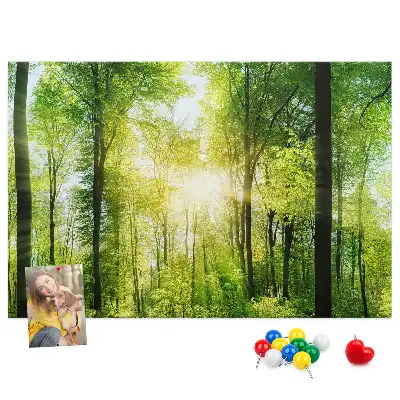 Nature Forest Trees Printed Cork Board