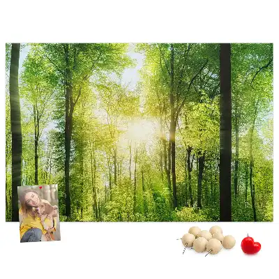 Nature Forest Trees Printed Cork Board