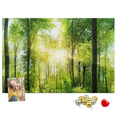 Printed Cork Board Nature forest trees