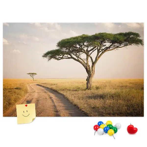 Cork memo board African landscape