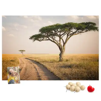 Cork memo board African landscape