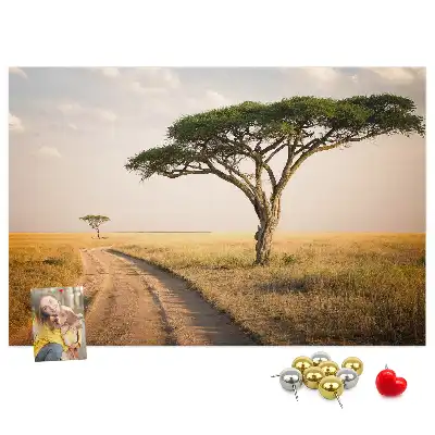 Cork memo board African landscape