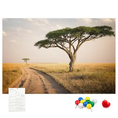 Cork memo board African landscape