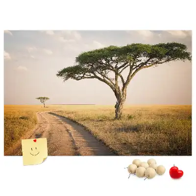 Cork memo board African landscape