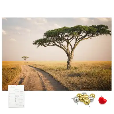 Cork memo board African landscape
