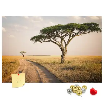 Cork memo board African landscape