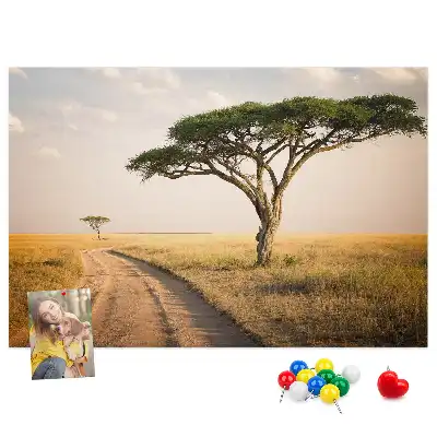 Cork memo board African landscape