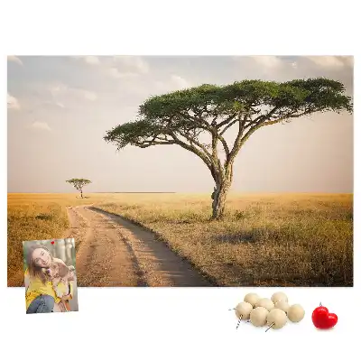 African landscape cork memo board