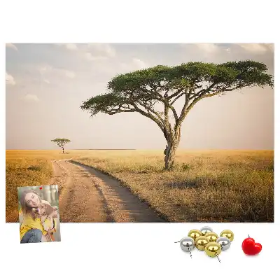 African landscape cork memo board