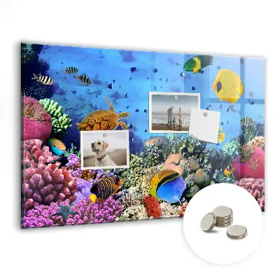 Underwater Life Magnetic Board