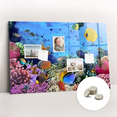 Underwater Life Magnetic Board