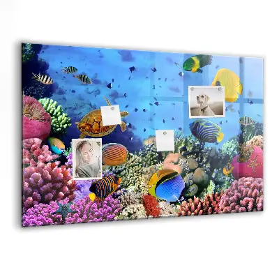 Underwater Life Magnetic Board