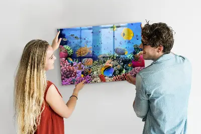 Underwater Life Magnetic Board