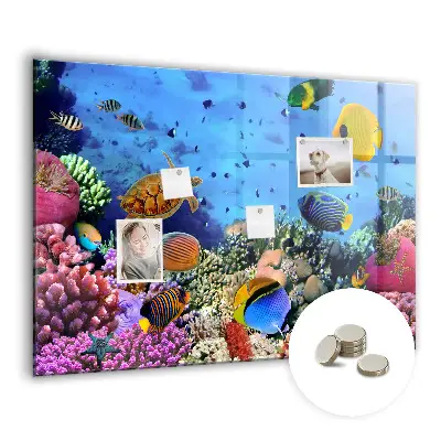 Underwater Life Magnetic Board