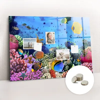 Underwater Life Magnetic Board