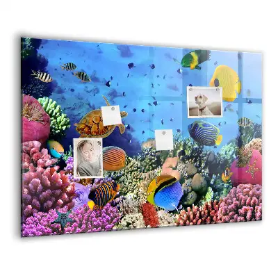 Underwater Life Magnetic Board