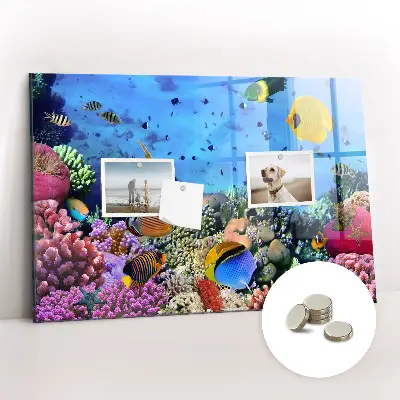 Underwater Life Magnetic Board