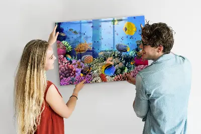 Underwater Life Magnetic Board