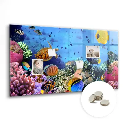 Underwater Life Magnetic Board