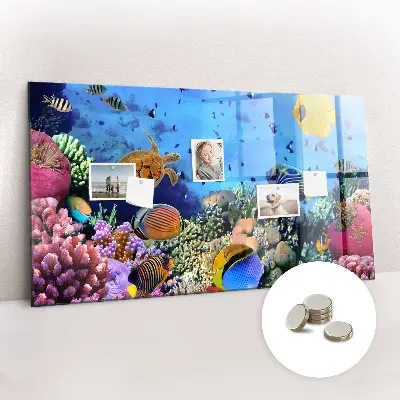 Underwater Life Magnetic Board