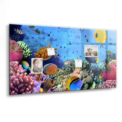 Underwater Life Magnetic Board