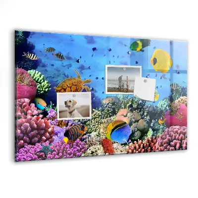 Underwater Life Magnetic Board