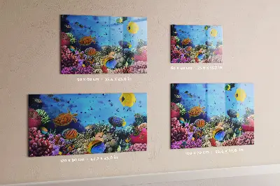 Underwater Life Magnetic Board