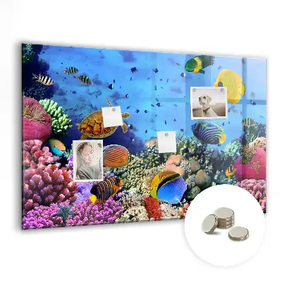 Underwater Life Magnetic Board