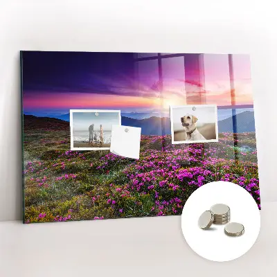 Sunrise flowers magnetic glass dry erase board