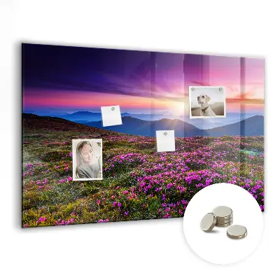 Sunrise flowers magnetic glass dry erase board
