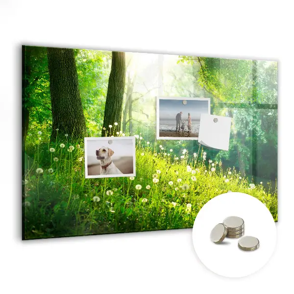 Spring nature magnet board