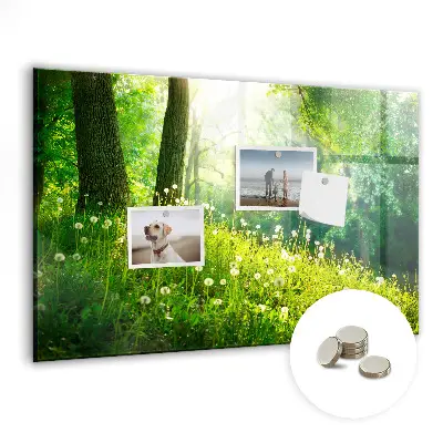 Spring nature magnet board
