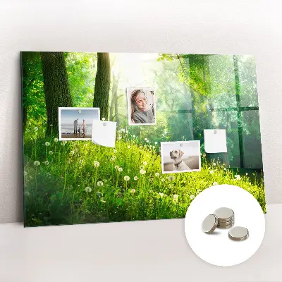 Spring nature magnet board