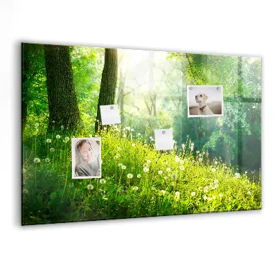 Spring nature magnet board