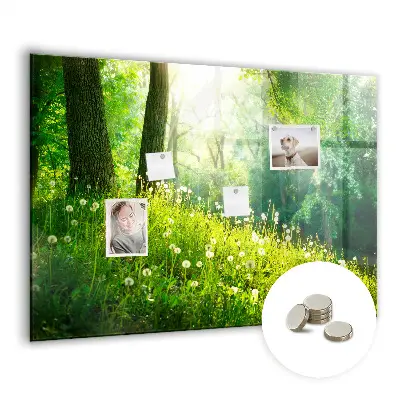 Spring nature magnet board