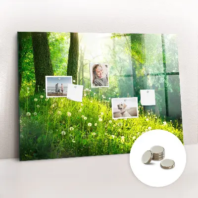 Spring nature magnet board