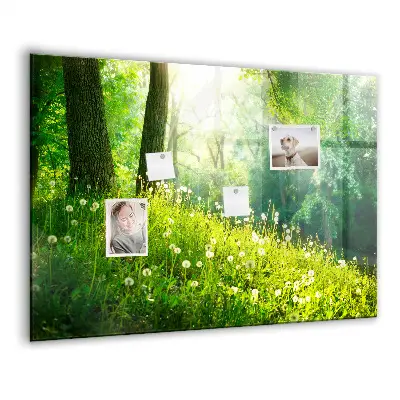 Spring nature magnet board