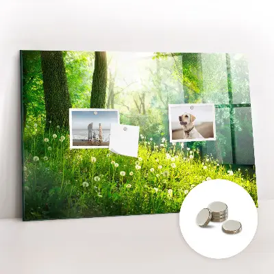 Spring nature magnet board