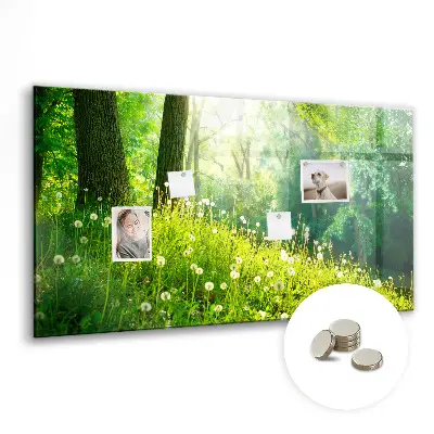 Spring nature magnet board