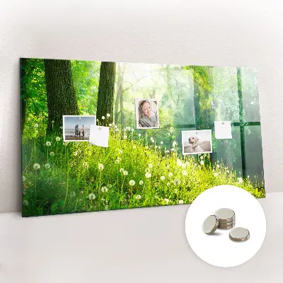 Spring nature magnet board
