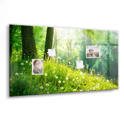 Spring nature magnet board