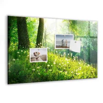Spring nature magnet board
