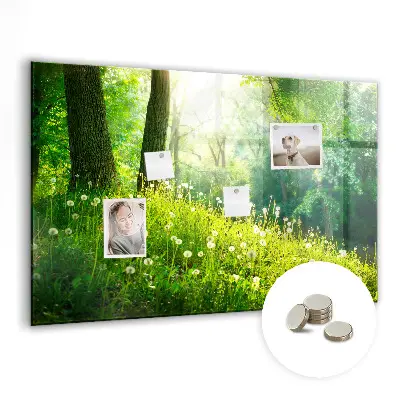 Spring nature magnet board