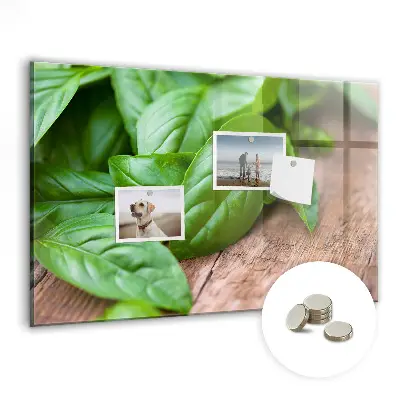 Basil leaves magnetic wall board