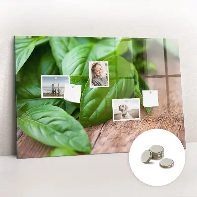 Basil leaves magnetic wall board