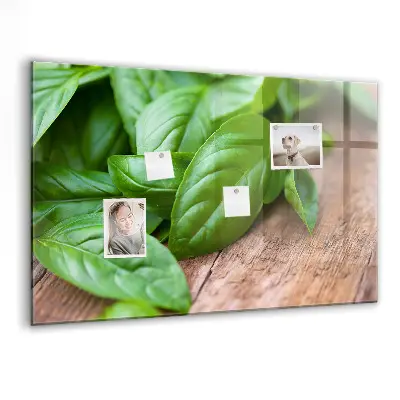 Basil leaves magnetic wall board