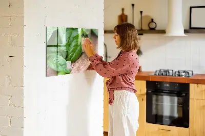 Basil leaves magnetic wall board